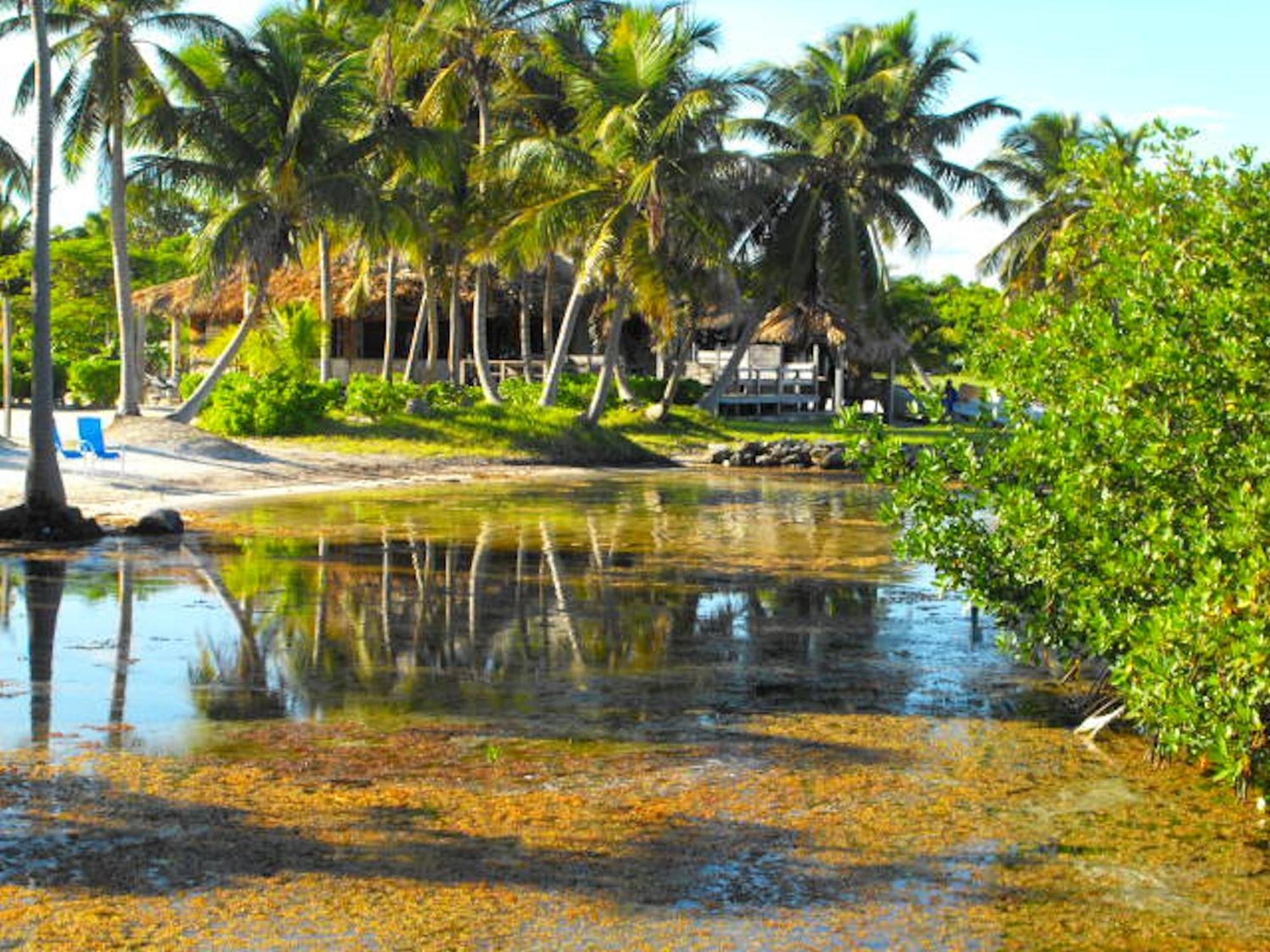 Отель Costa De Cocos Шкалак Экстерьер фото